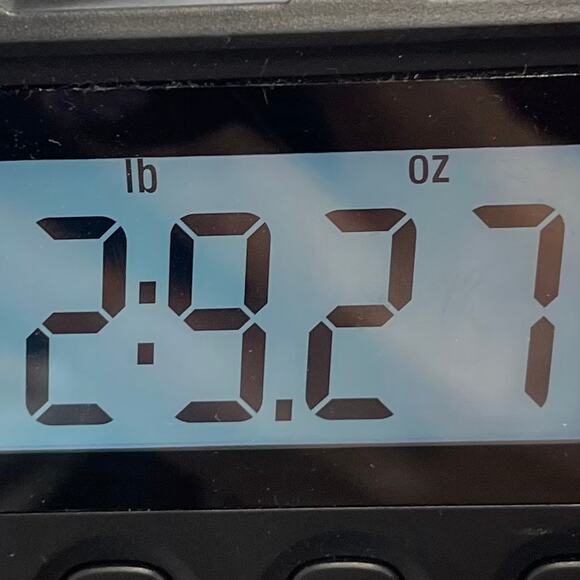 Saddlebred Sport Coat Gray Men Size 48 L Motion Stretch - Picture 11 of 11